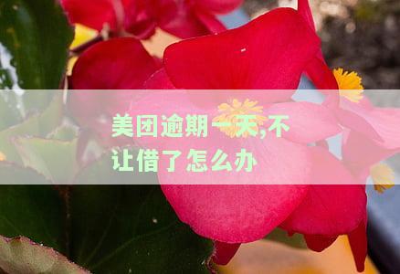 美团逾期一天不能借了，逾期一天还款影响大！美团借钱功能受限