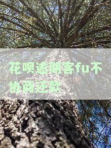花呗拒绝协商还款，无奈！花呗拒绝协商还款，用户该如何应对？