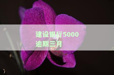 建行信用卡5000逾期3个月有什么后果，警惕！建行信用卡逾期三个月的严重后果