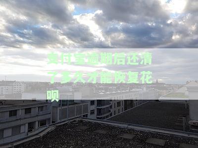 支付宝逾期后还清了多久才能恢复花呗，如何恢复花呗？支付宝逾期后还款后的恢复时间