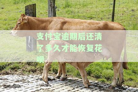 支付宝逾期之后还完钱多久能恢复信用，支付宝逾期还款后，多久能够恢复信用？