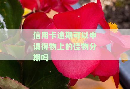 得物佳物分期可以期吗，如何申请得物佳物分期的期还款？