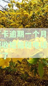 万卡逾期一个月,催收短信和电话不打了