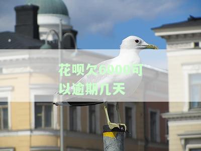 花呗欠6000可以逾期几天还款？逾期后果严重