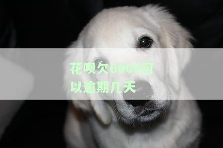 花呗欠6000可以逾期几天