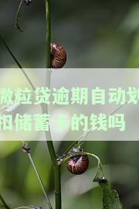 微粒贷逾期自动划扣蓄卡的钱吗？真的会发生吗？