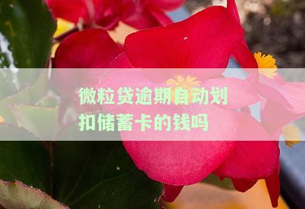 微粒贷逾期自动从我蓄卡扣款：如何解除、能否追回？