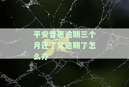 平安普连续逾期三个月，每日逾期三四天，是否会上征信？