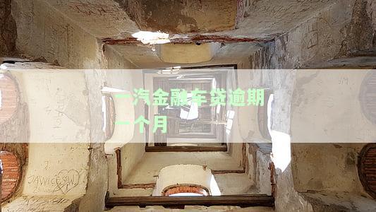 一汽金融车贷逾期一个月都不到就起诉了，逾期不到一个月，一汽金融便启动诉讼程序：警惕车贷违约的法律风险
