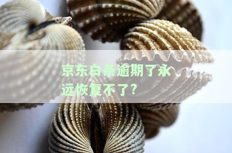 逾期太久：如何协商还款、减免罚息及查询本金？