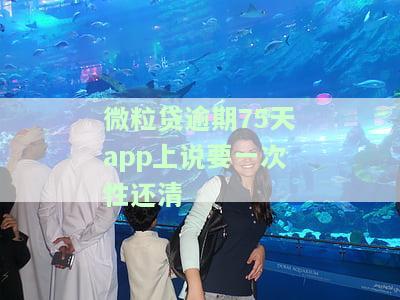 微粒贷逾期75天app上说要一次性还清