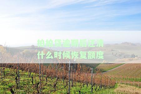 拍拍贷逾期了几天还上后,还可以再贷款吗，拍拍贷逾期还款后，还能否再次申请贷款？