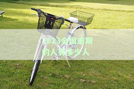 全国逾期人数2021-2023年最新数据及统计分析