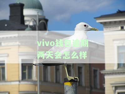 vivo钱包逾期两天会怎么样吗，VIVO钱包逾期两天会有何后果？
