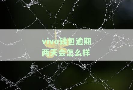 vivo钱包逾期4天怎么样了把钱冲进去自己会扣吗，关于vivo钱包逾期4天的情况：冲进去的钱会自动扣除吗？