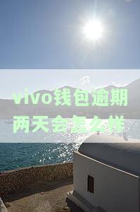 Vivo钱包逾期多久会被起诉？影响与解决方案全解析