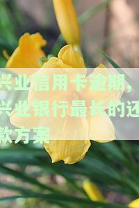 2021年兴业银行信用卡逾期新法规，2021年兴业银行信用卡逾期新规解读