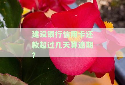 建设银行卡信用卡还款宽限期及容时服务详解