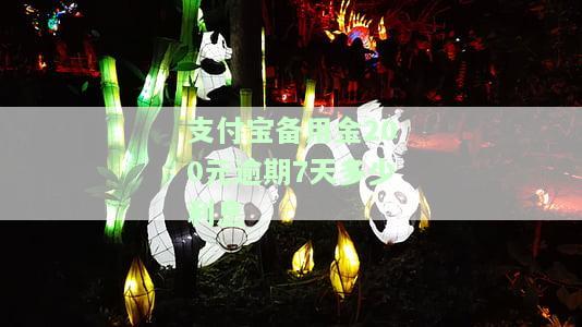 支付宝备用金逾期100元的影响及处理方式
