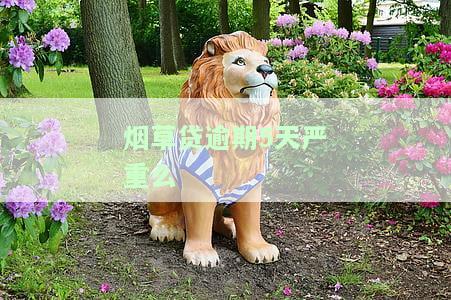 烟草贷逾期5天严重么，烟草贷逾期5天：影响严重吗？