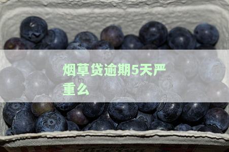 烟草贷逾期未还，银行是否会拨打通讯录电话？安全吗？