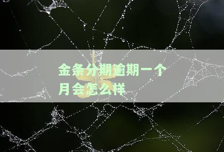 金条分期逾期了，但是还了后面说要还完不还完会上门？全款还款还是可以协商分期呢？逾期一天会有何影响？