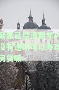 呆账已结清两年内没有逾期，能否办理房贷、申请信用卡及处理？