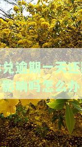 承兑逾期一天还款有影响吗？怎么办理手续/业务？
