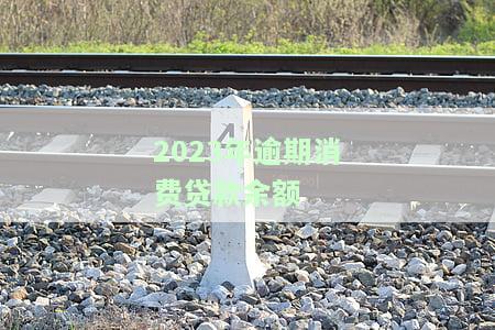 2023年逾期消费贷款余额会减少吗？分析原因与前景