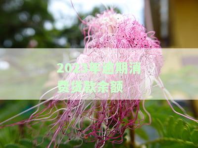 2023年逾期消费贷款余额及正常水平、利率与逾期率分析
