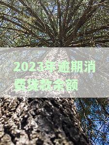 消费贷逾期：影响征信、可能被起诉，严重后果及解决办法
