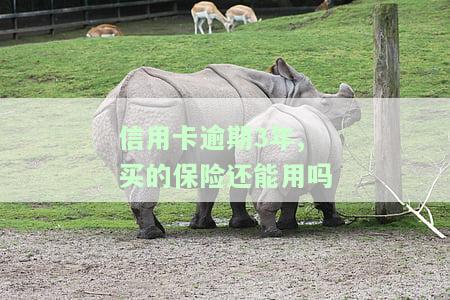 信用卡逾期3年,买的保险还能用吗，信用卡逾期三年，购买的保险是否还有效？