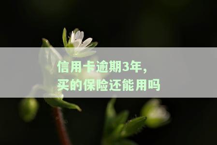 信用卡逾期3年,买的保险还能用吗安全吗，信用卡逾期三年，购买的保险是否还安全可用？