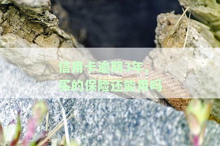 信用卡3年前逾期一次记录能否贷款买房？影响因素分析