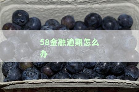 58金融逾期会造成什么后果，警惕！58金融逾期的严重后果你必须了解