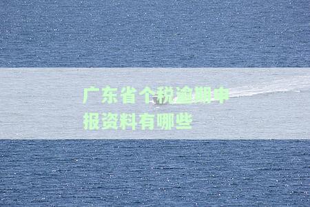 州个人所得税逾期申报处罚规定及补缴指南