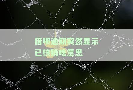 借呗逾期突然显示已核销啥意思