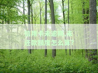 嗯如果信用卡没到期没还款会有什么后果，信用卡未到期未还款的后果是什么？