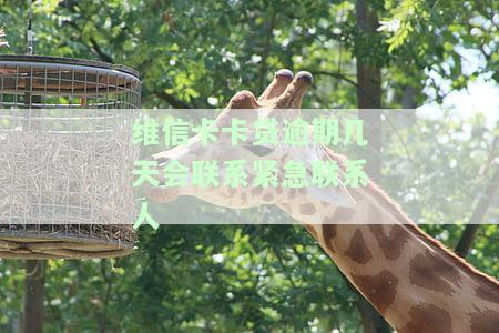 维信卡卡贷逾期几天会联系紧急联系人-维信卡卡贷逾期三天会打电话到单位吗