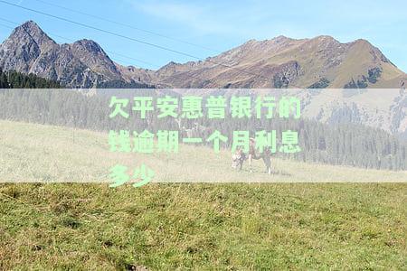 欠平安普银行钱逾期一个月利息多少？已逾期4个月，怎么办？