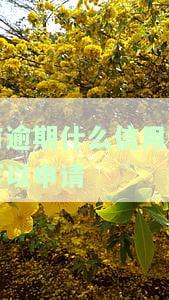 逾期还可以批的信用卡：黑户、逾期中也能借款，必过、无视征信问题