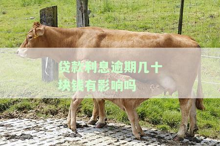 贷款利息逾期多久会被起诉，逾期多久会被银行起诉？贷款利息的诉讼时效解析