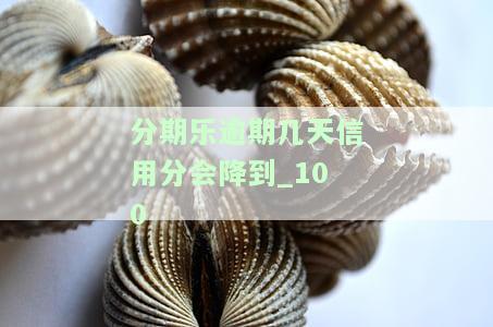 分期乐逾期几天会上传至征信？影响有多大？