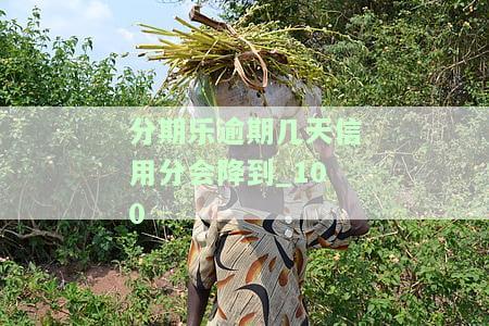 分期乐逾期多久上征信？逾期几天会受影响？真的会被发律师函吗？