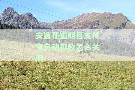 安逸花怎样取消每月自动扣款，如何取消安逸花每月自动扣款？详细步骤解析