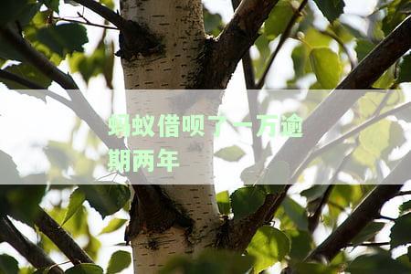 借呗欠一万逾期两年需要还多少钱，借呗欠款一万元逾期两年，你需要偿还多少？