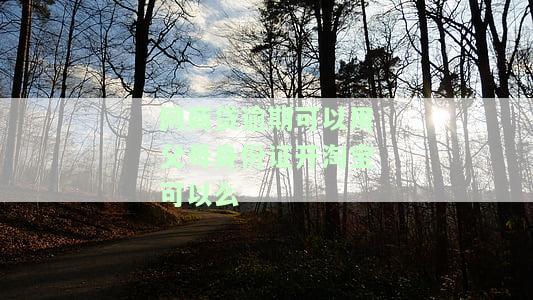 网商贷逾期可以用母身份证开淘宝可以么-网商贷可以用母的房子贷吗