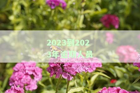 2023到2023年逾期人员