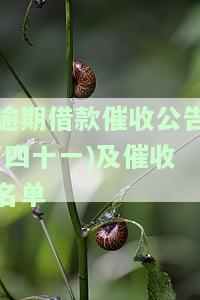 逾期借款催收公告(三十一)及催收名单：三十八、十九、二号及2020年催收公告，展示逾期催收案例