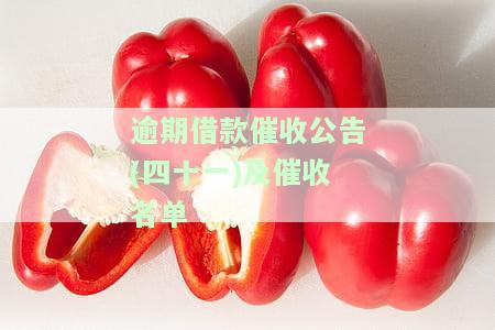 逾期借款催收公告(四十一)及催收名单